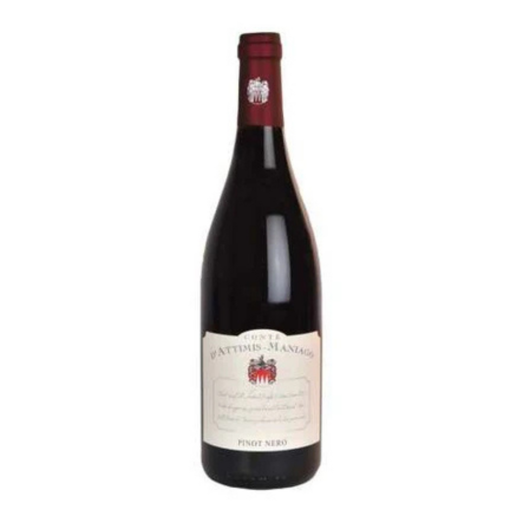 PINOT NERO 2023 - CONTE D’ATTIMIS